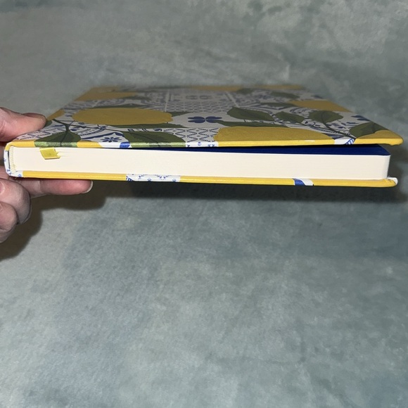 Gooseberry Moon Lemon Patterned Notes Journal - Picture 7 of 9